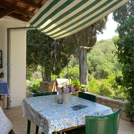 Maslinica, Otok Solta, Whole House With Teracce Holiday home